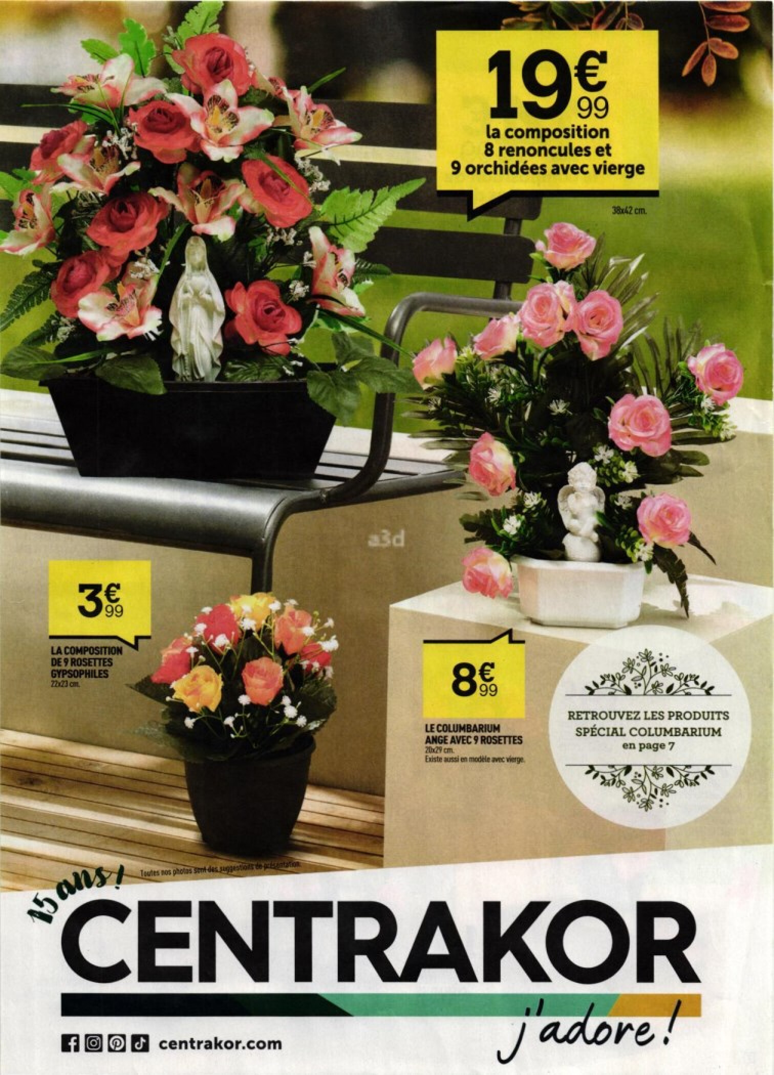 CENTRAKOR - Sans titre (chrysanteme)