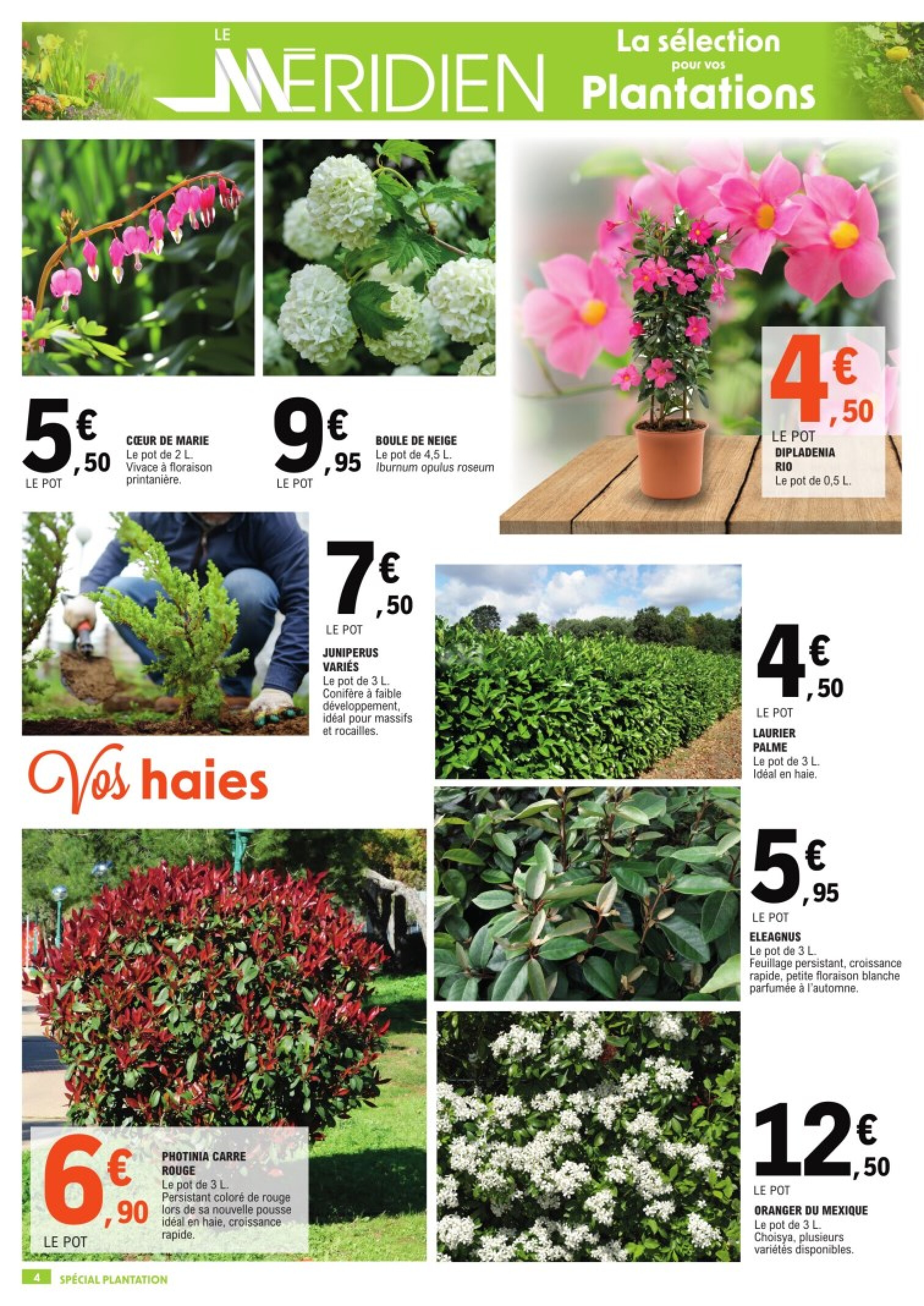 JARDI LECLERC La selection pour vos plantations