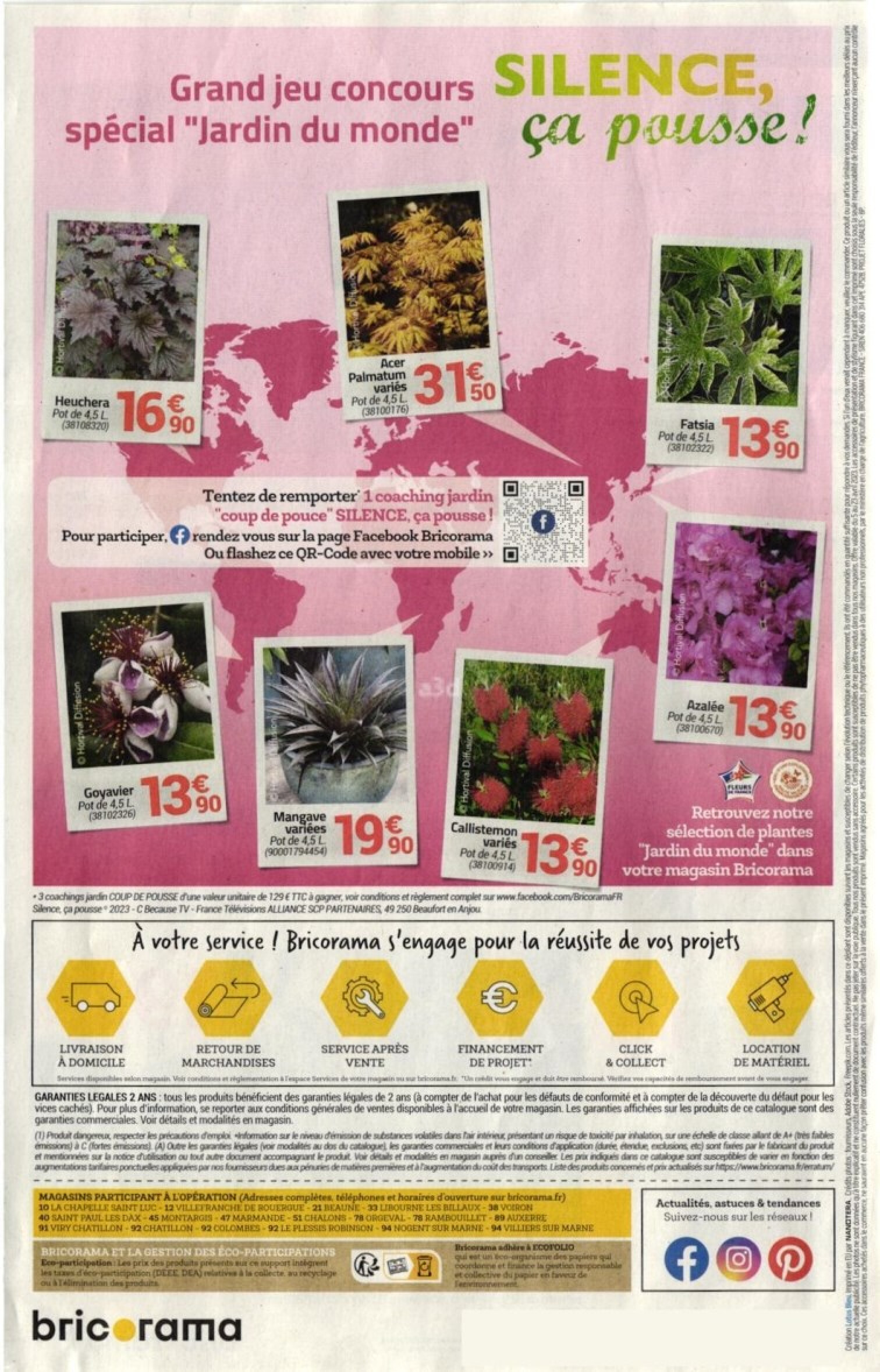 BRICORAMA Faites pousser toutes vos idees