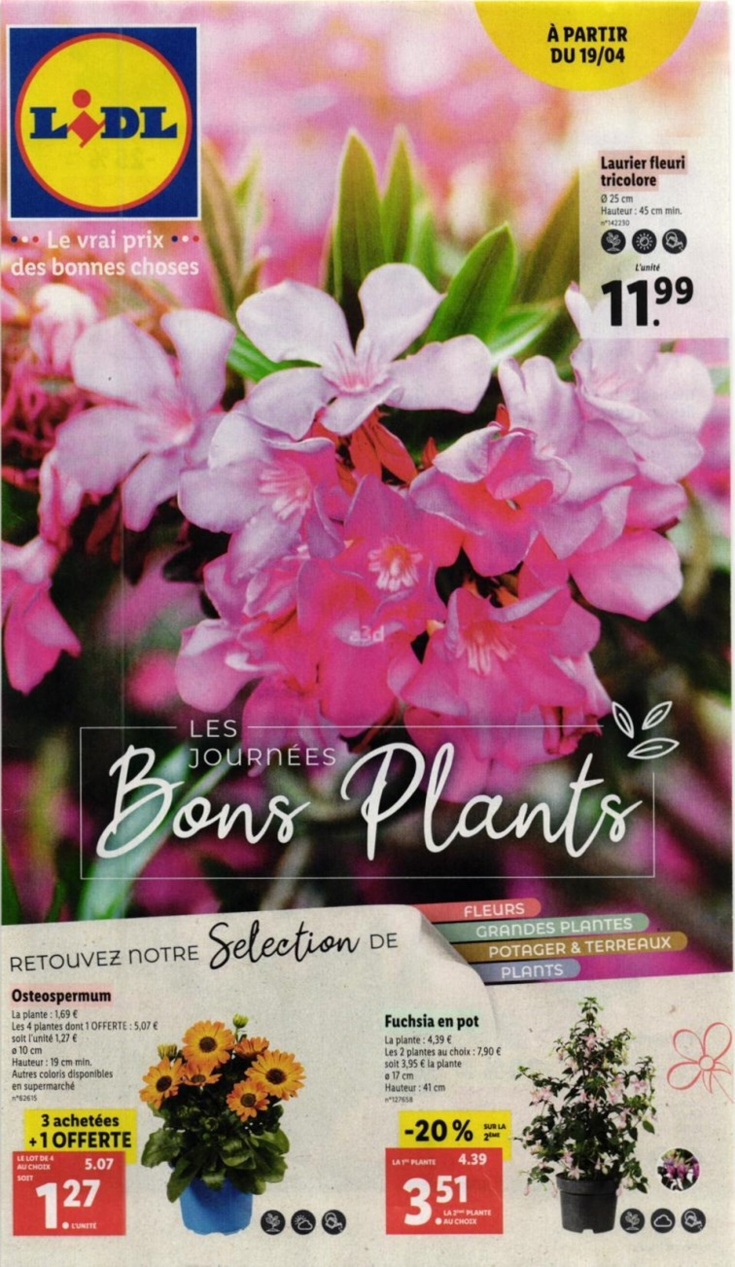 LIDL Les journees bons plants